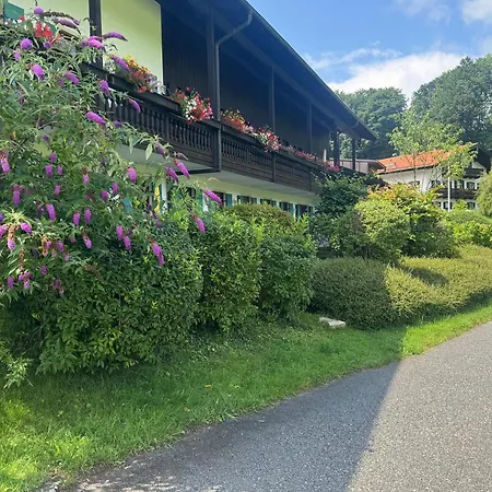 Apartmán Ciao-aschau Gschwendtnerhof Ap20 Bunk *